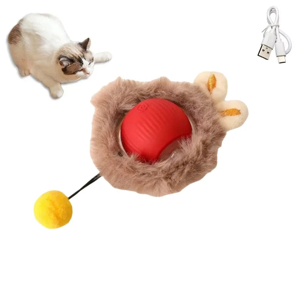 Cat Interactive ball Toy, Automatic Rolling Ball with Tail, Rechargeable Smart Pet Interactive Toy, Intelligent toy for Cat