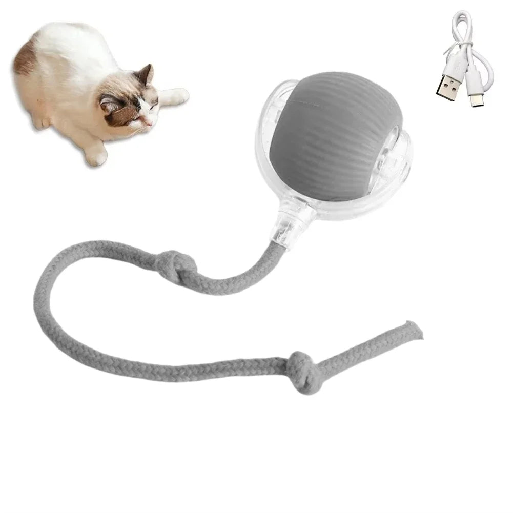 Cat Interactive ball Toy, Automatic Rolling Ball with Tail, Rechargeable Smart Pet Interactive Toy, Intelligent toy for Cat
