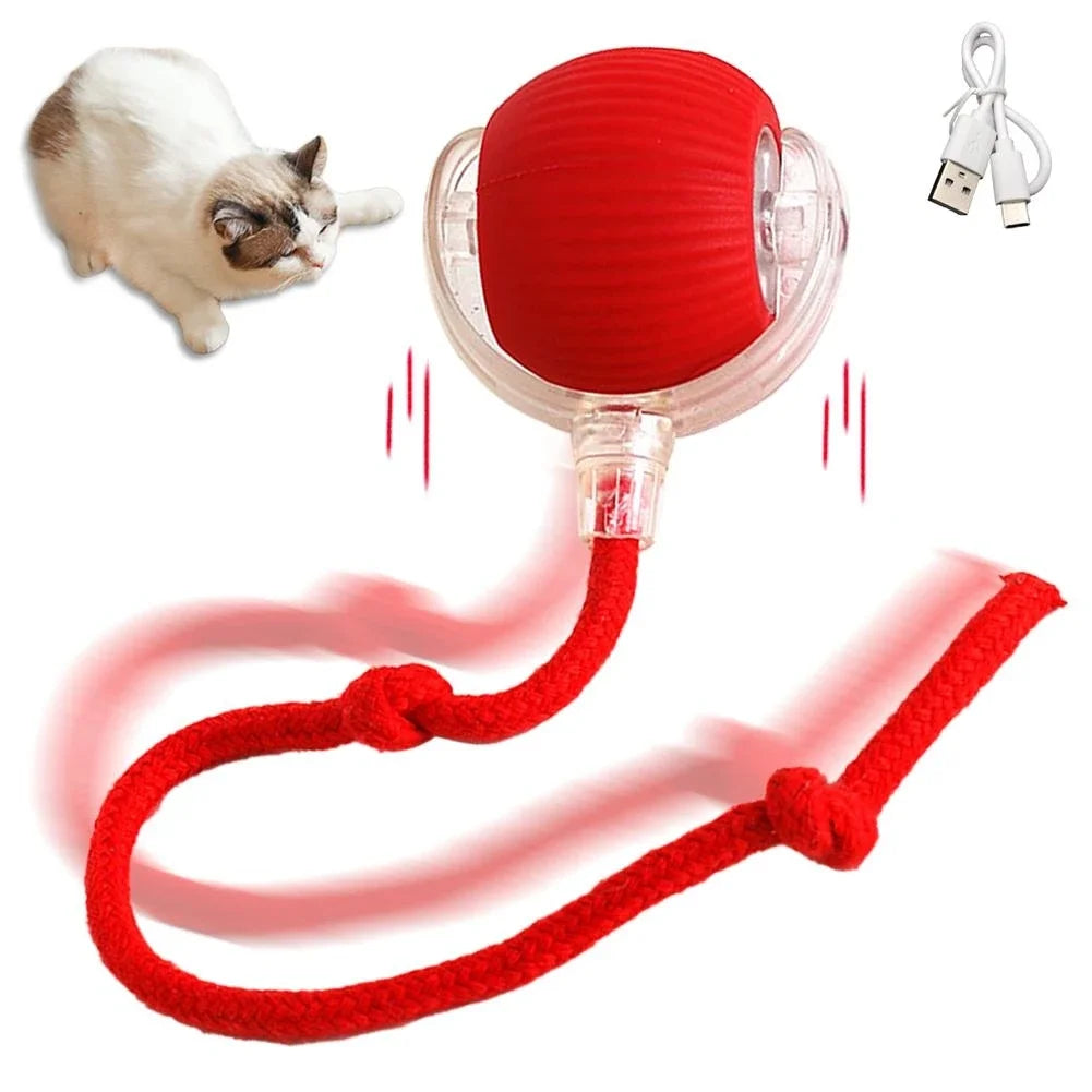 Cat Interactive ball Toy, Automatic Rolling Ball with Tail, Rechargeable Smart Pet Interactive Toy, Intelligent toy for Cat