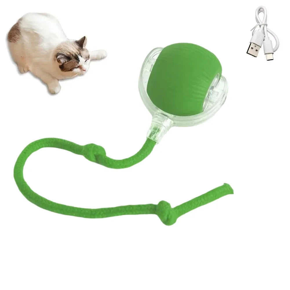 Cat Interactive ball Toy, Automatic Rolling Ball with Tail, Rechargeable Smart Pet Interactive Toy, Intelligent toy for Cat