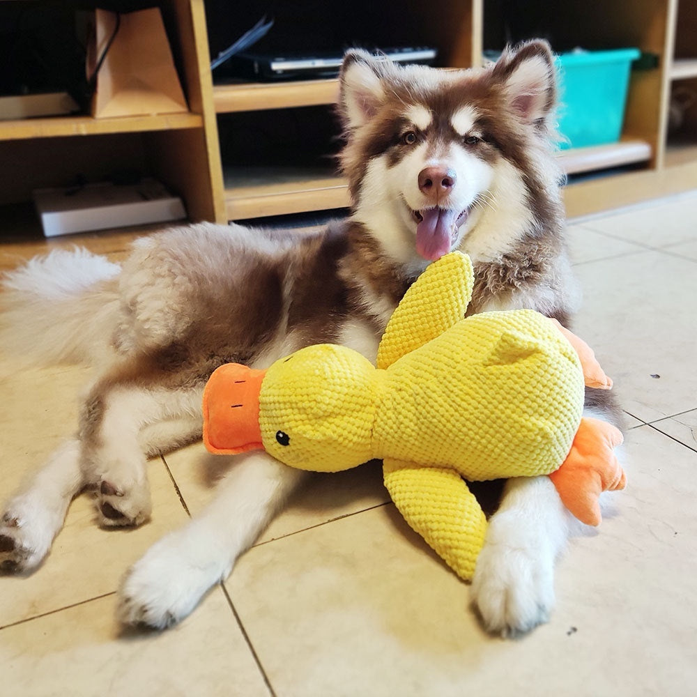 Dog Toy Plush Bite-resistant Pet Supplies