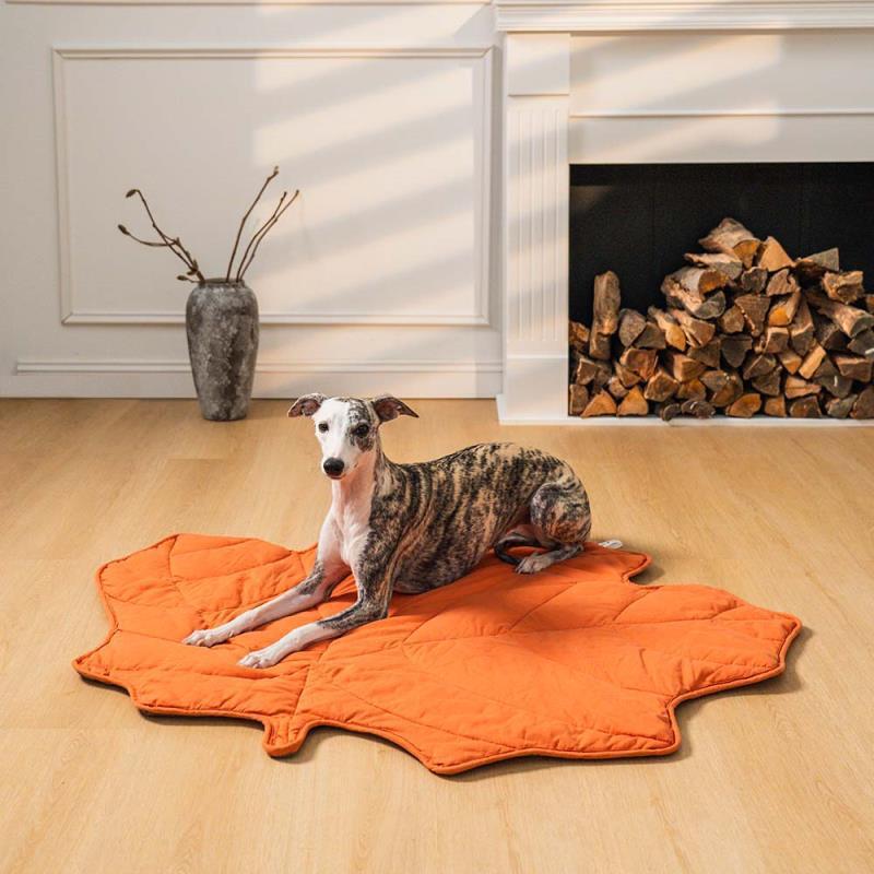 Pet Universal Four Seasons Pet Mat