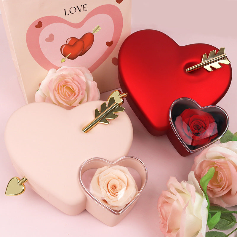 Plastic Double Love Heart-shaped Jewelry Box