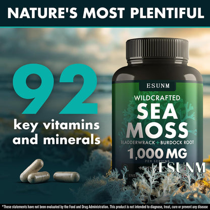 Seaweed Compound Vitamin Capsules