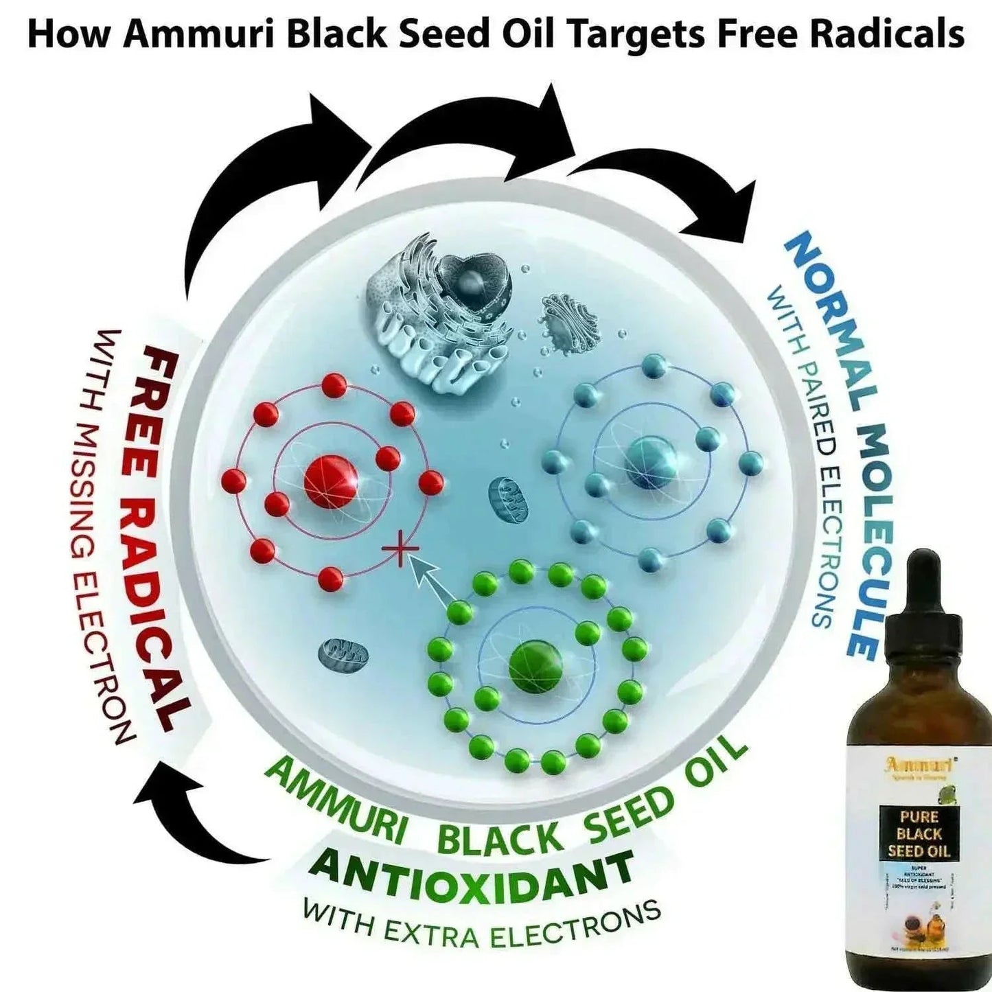 Pure Organic Black Seed Oil | Cold-Pressed Nigella Sativa for Skin, Hair & Wellness – Ammuri Beauty