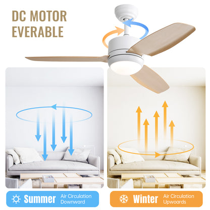 Plastic Ceiling Fans