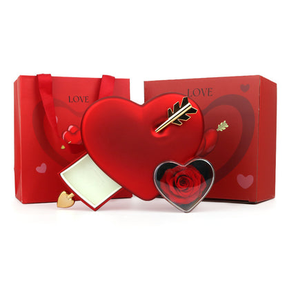 Plastic Double Love Heart-shaped Jewelry Box