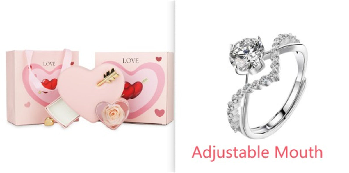 Plastic Double Love Heart-shaped Jewelry Box